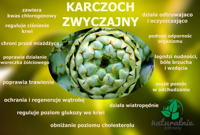 naturalne ciekawostki - karczoch